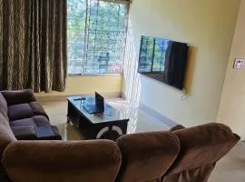 Nestup Stay for Boys