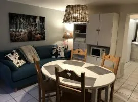 Appartement Chalet 2 Chambres - 6 Pers, Wifi, Parking - FR-1-836-27