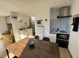 Studio 4 pers, cuisine équipée, parking privé, non-fumeur - FR-1-836-43
