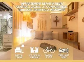 Blois hypercentre, calme, charme avec terrasse