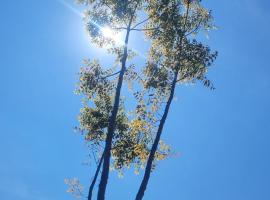Cabañas Los Tulipanes, ξενοδοχείο σε La Mesa