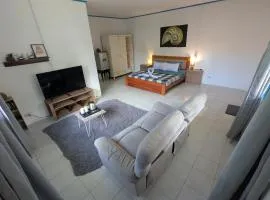 Crazy Bears Guesthouse