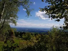 Ferienwohnung für 3 Personen ca 32 m in Langfurth, Bayern Bayerischer Wald