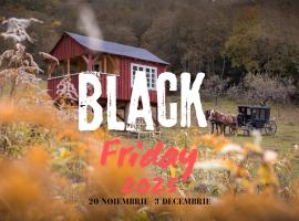 Valea Verde Retreat Transilvania, hotel in Cund