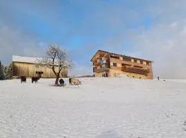 Blickfang Bregenzerwald