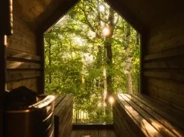 Schody do wody linia brzegowa jeziora Kaszuby