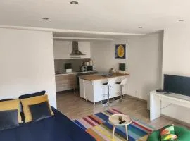 Spacieux Studio Sushi - 1 lit double - Rue calme- Centre ville