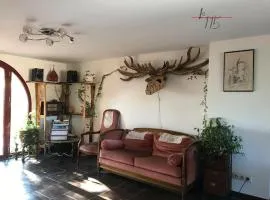 Le 115 Retour aux Sources