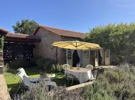 Hartland Garden Suite