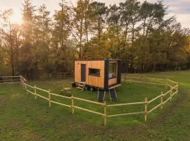 Homnest - Refuge en nature au coeur du Tarn