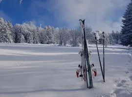 Charmante Wohnung In Langfurth Mit Kleinem Balkon