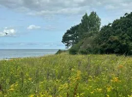 Sommerhus Med Sjæl Få Skridt Fra Vandkanten