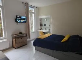 Studio Cosy entièrement rénové - Centre Historique