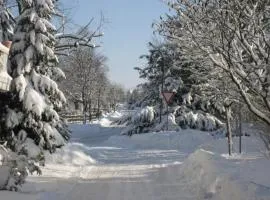 Ferienwohnung für 4 Personen ca 100 m in Steinen, Rheinland-Pfalz Westerwald