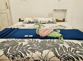 Marari Aleena Beach Homestay