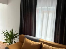 Park House, Hotel in Baia Mare