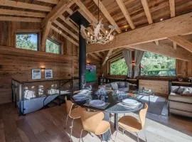 Chalet à Chamonix avec Sauna et Jacuzzi - FR-1-343-253