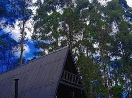 Chalé da Mantiqueira SFX , Pet friendly