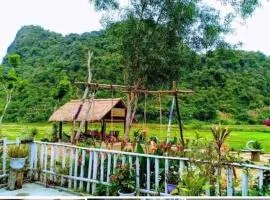 Phong Nha Rice Field Homestay