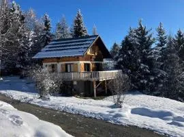Chalet à La Toussuire, 3 ch, retour skis, wifi - FR-1-416-222