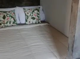 Studio Jaguary - Monte Verde