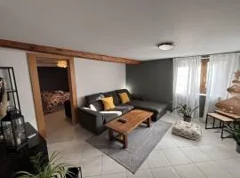 Beautiful apartment of 67 m2 near Strasbourg