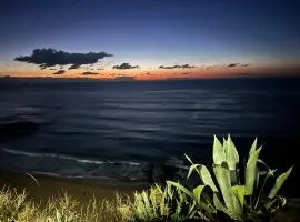 Summer Haze Ericeira