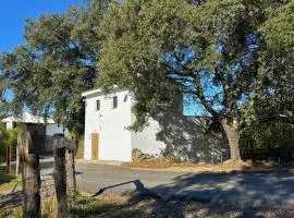 El Castañero Only Adults