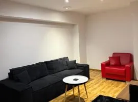 Dwupokojowy Apartament przy Piotrkowskiej