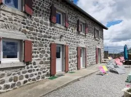 Gîte familial avec cour, ping-pong, proche Lyon et Clermont-Ferrand - FR-1-582-330