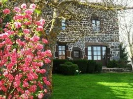 Maison de charme XVIIIe sur chemin St-Jacques, proche Le Puy-en-Velay, idéale familles et randonneurs - FR-1-582-298