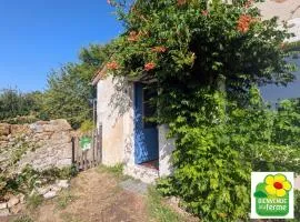 Maison typique en Berry avec jardin privatif, BBQ et parking - FR-1-591-598