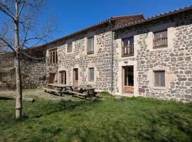 Maison de caractère avec grand terrain, proche d'Arlempdes, labels ECOGÎTE et Tourisme & Handicap - FR-1-582-118