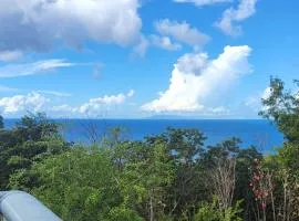 Chambre calme pour femmes, en forêt, 1km plage