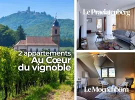 Combo Praelatenberg 2 appartements dans la même maison