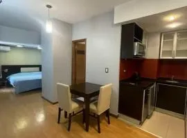 Mono ambiente microcentro