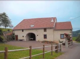 Gîte Vosges : nature, cheminée, animaux acceptés - FR-1-583-379