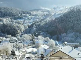 Appartement spacieux à Le Tholy, 6 pers, Vosges - FR-1-589-784