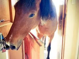 The Blow-Inn Farmer, Sunrise Cottage