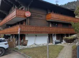 Grand appartement moderne au cœur des Diablerets