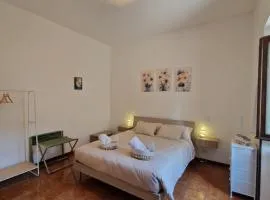 Daisy, cozy apartment in como