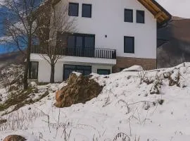 Mountain villa in Gorna Belica - Villa Hani