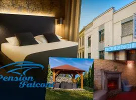 Pension Falconi