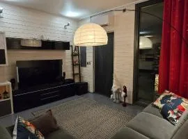 Arctic Villa Iisakki