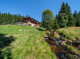 Aparthotel Mádr, hotel v Modravě