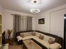 Nene Tereza Airport Apartment