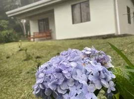 Alojamiento con lago privado en Bajos del Toro