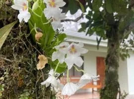 Alojamiento con lago privado en Bajos del Toro