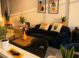 Entire apartment, bedroom, dressing room and armored door