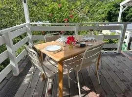 Grand studio Plaisance et Fleurs